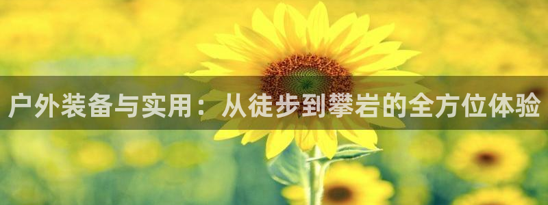 上海邦富娱乐有限公司