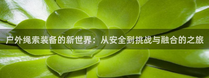 富邦娱乐-真博百楽