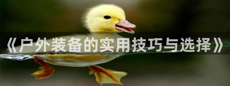 富邦老品牌娱乐城