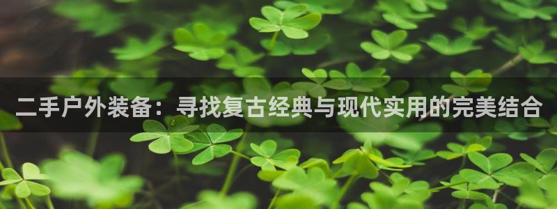 富邦娱乐国际