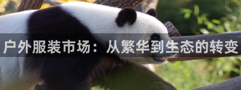 富邦体育娱乐