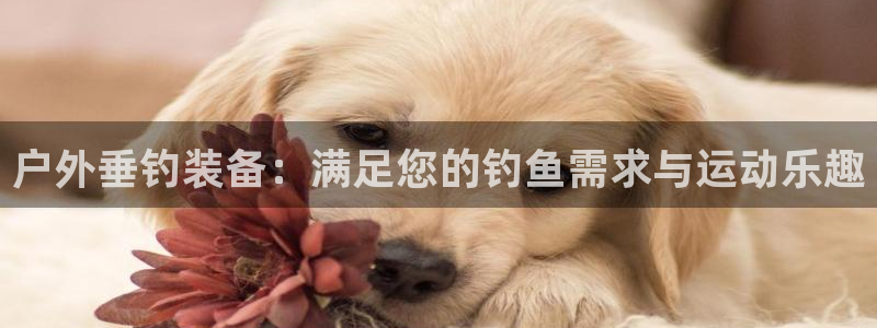 富邦娱乐平台网址