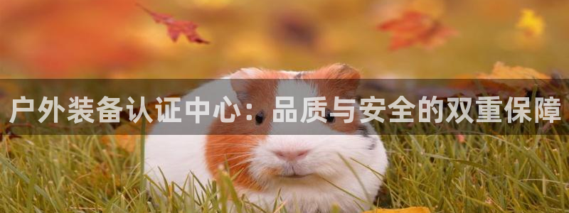 富邦娱乐官网最新网址