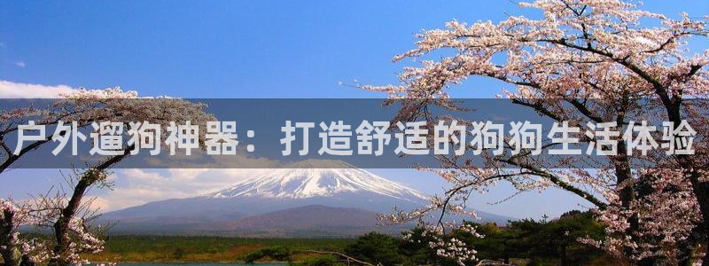 富邦娱乐