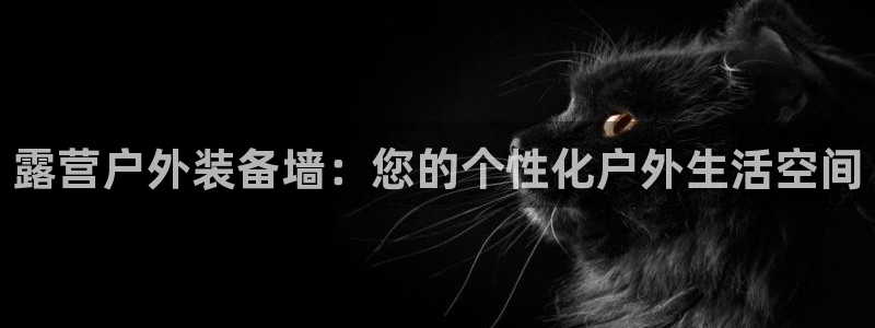 富邦娱乐会员账号大全