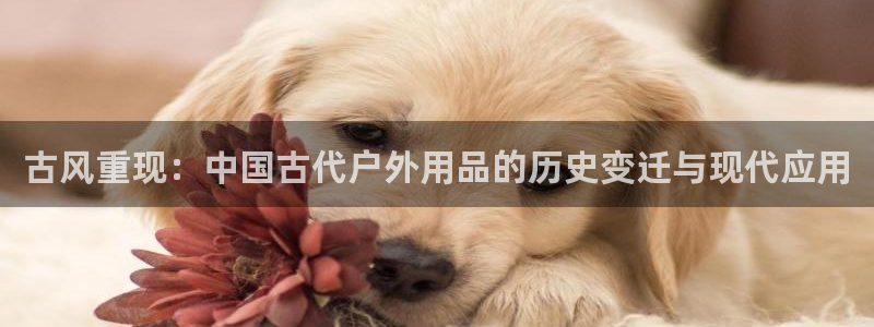 富邦娱乐首页