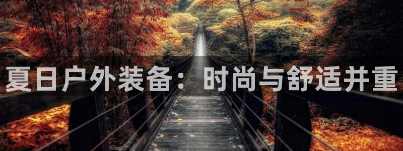 邦富娱乐国际