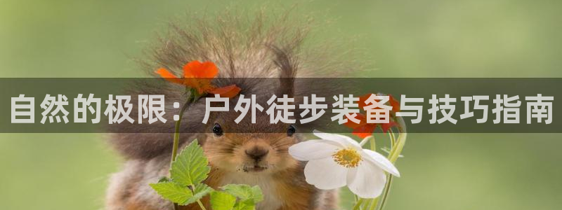 富邦娱乐城 皇恩靠谱