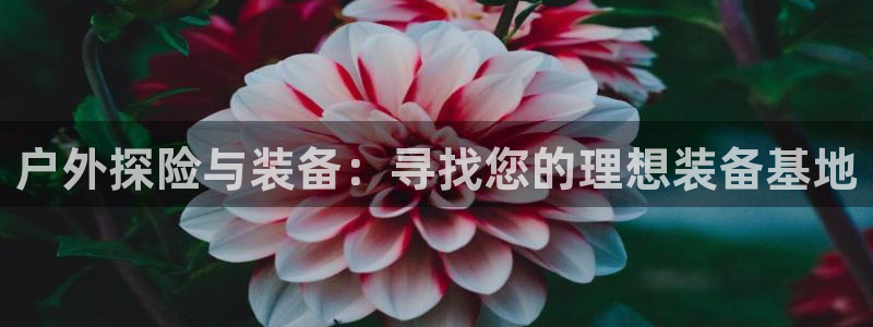 富邦娱乐提现不了