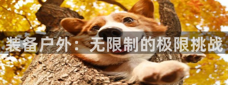 www.富邦娱乐场所