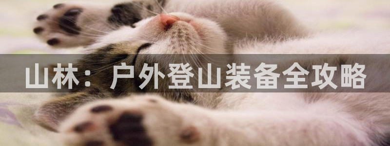 澳门富邦线上娱乐平台