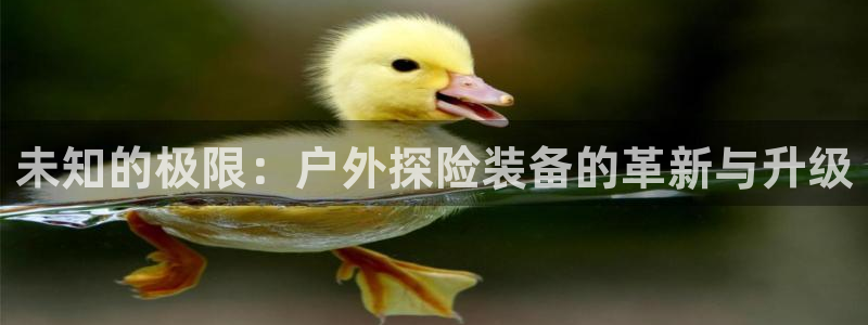 富邦娱乐大厅优惠活动