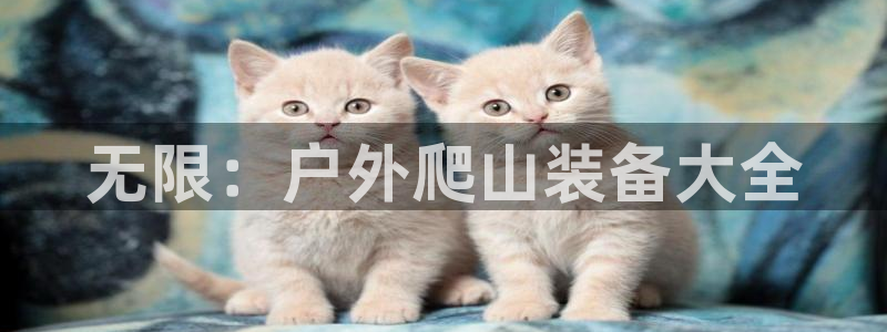 杭州临平富邦娱乐