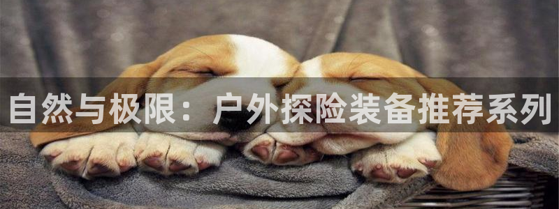 富邦娱乐被风控怎么办